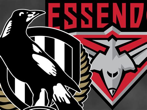 essendon vs collingwood history